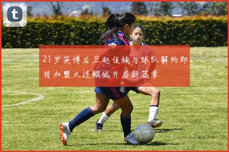 21岁英博后卫赵佳楠与球队解约即将加盟大连鲲城开启新篇章